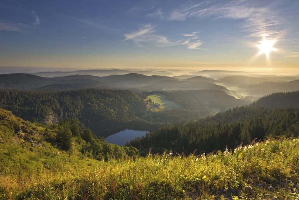 Waldlicht Titisee Titisee-Neustadt Exterior foto