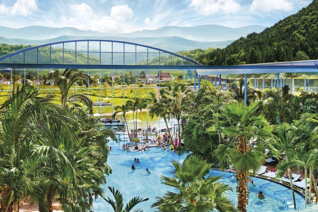 Waldlicht Titisee Titisee-Neustadt Exterior foto