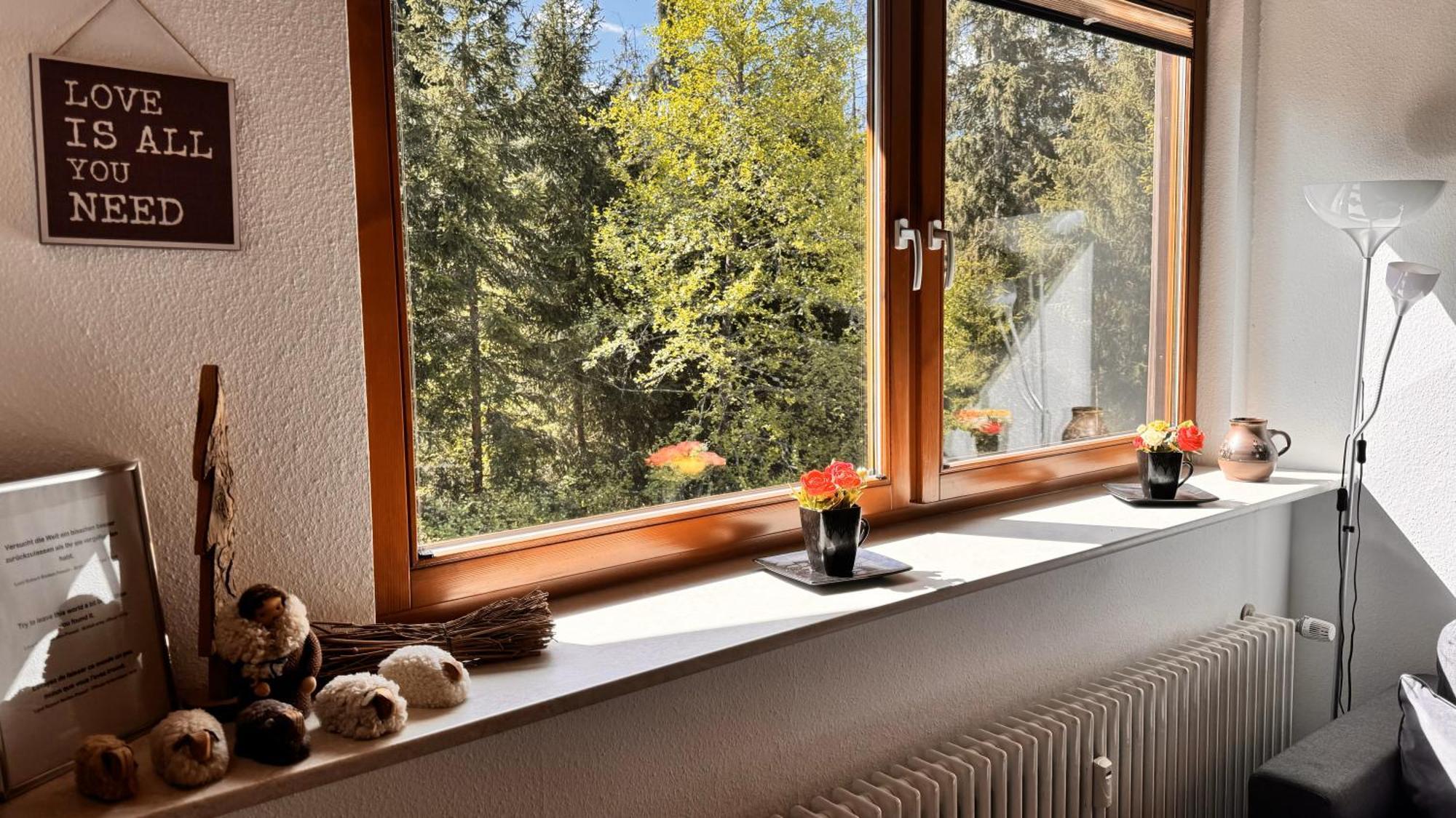 Waldlicht Titisee Titisee-Neustadt Exterior foto